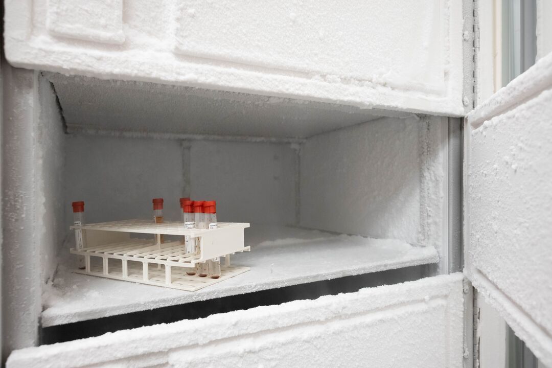 Freezer with test tubes