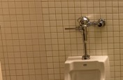 Flush handle of a urinal