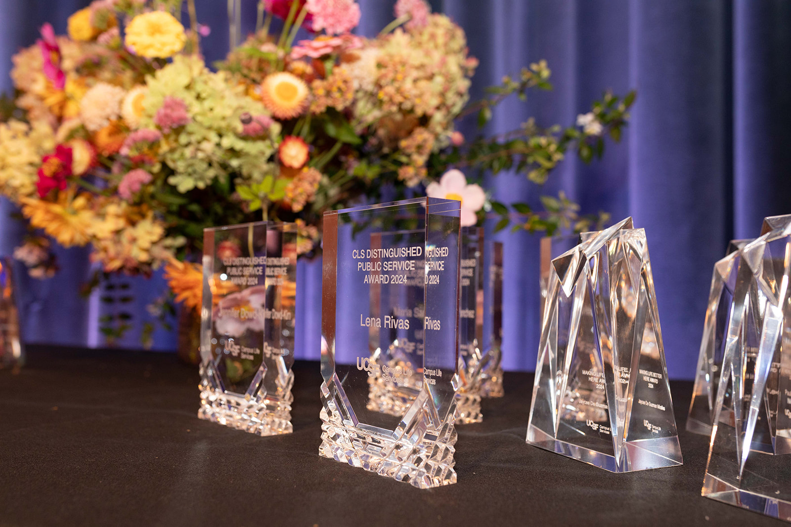 Photo shows table of glass Stellar Achievement Awards, award at front reads "CLS Distinguished Public Service Award" 2024