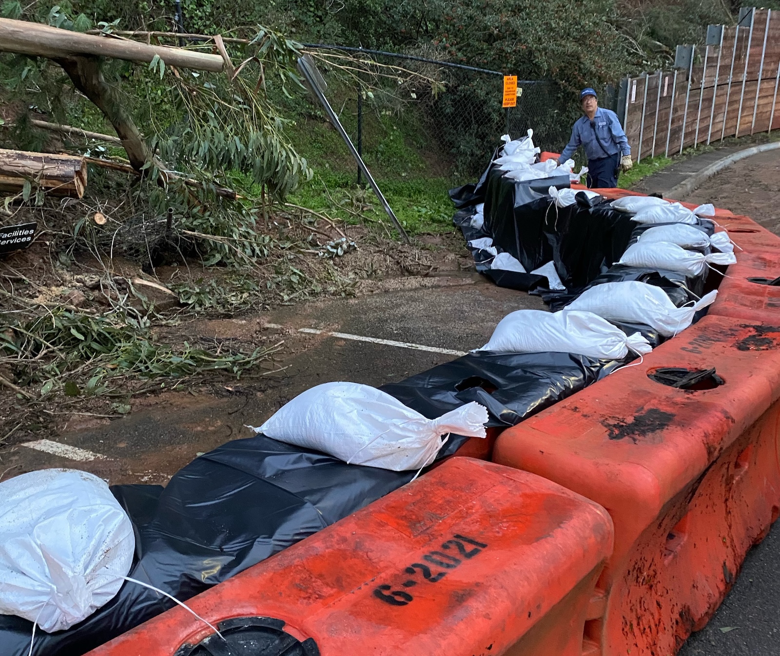 A Facilities Services team member stands next to a barricade of sand bags near fallen trees