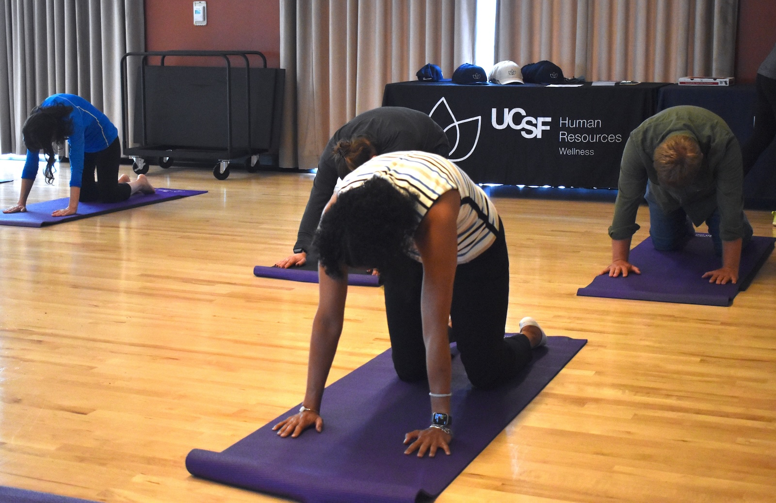 Three people do a cow pose in yoga.