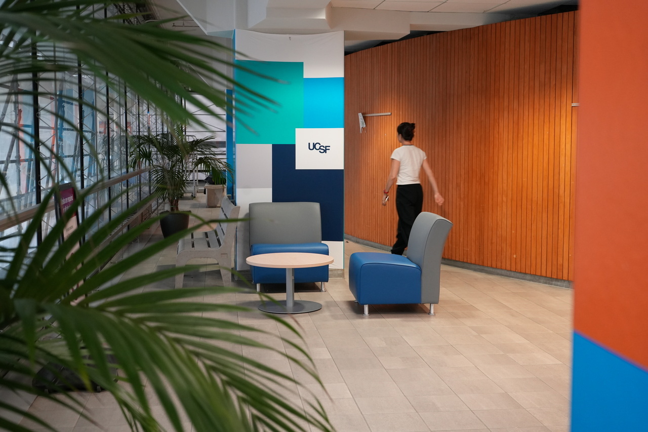 a plant in the newly designed hallway