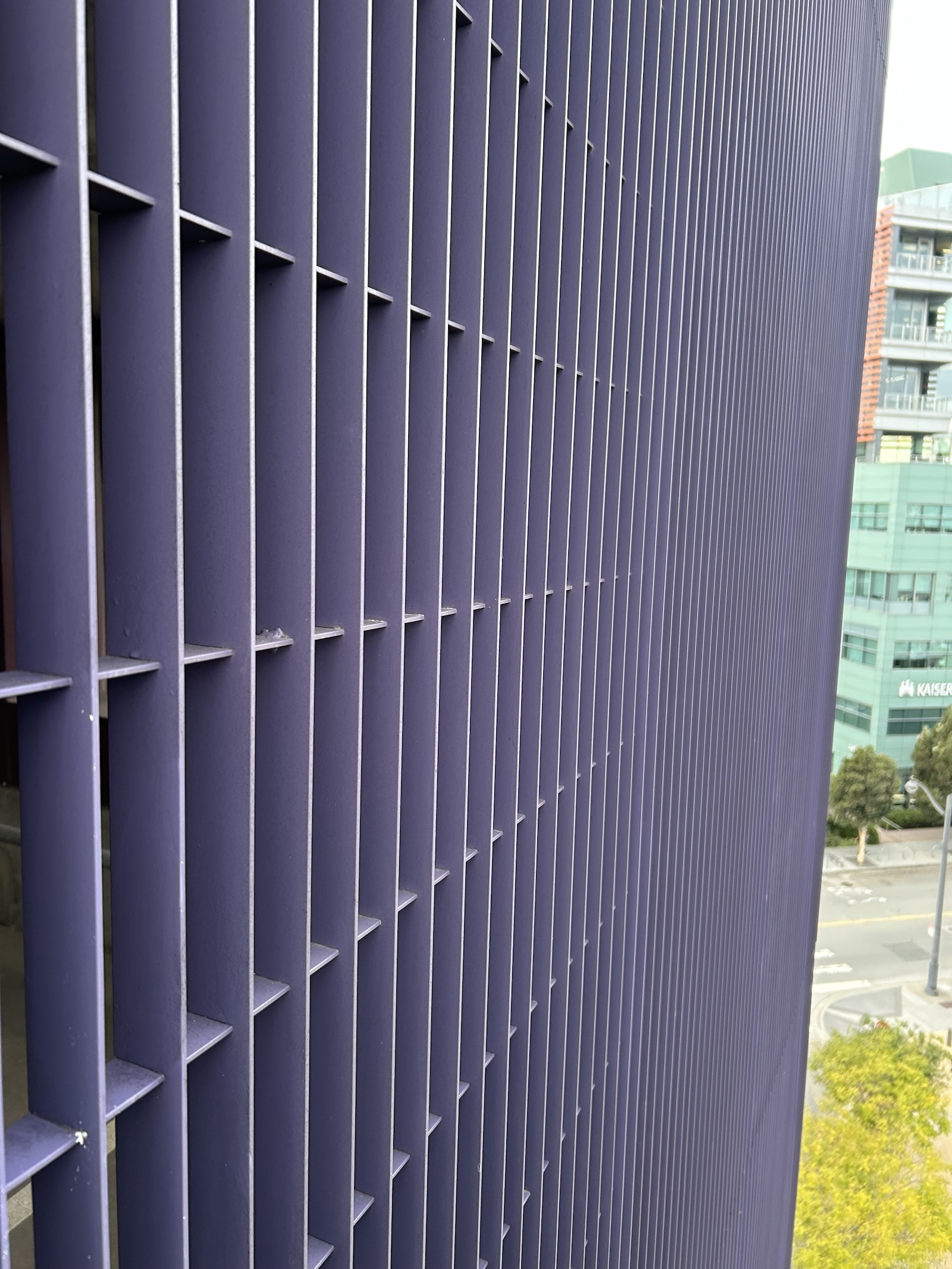 Bird clean up completed at Rutter