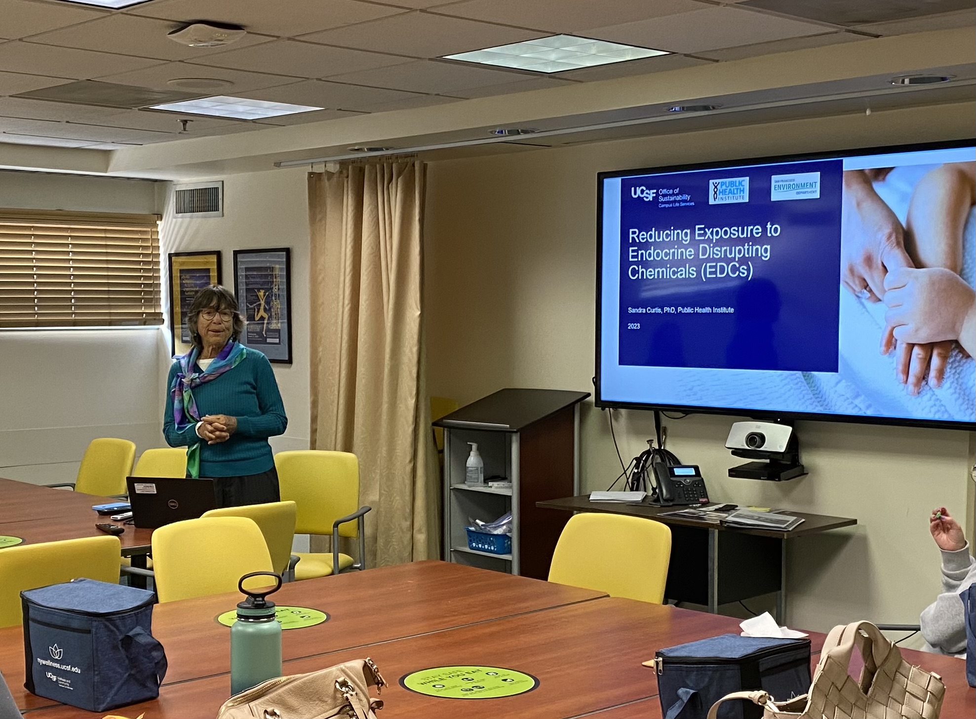 Sandra Curtis stands in front of presentation slide deck