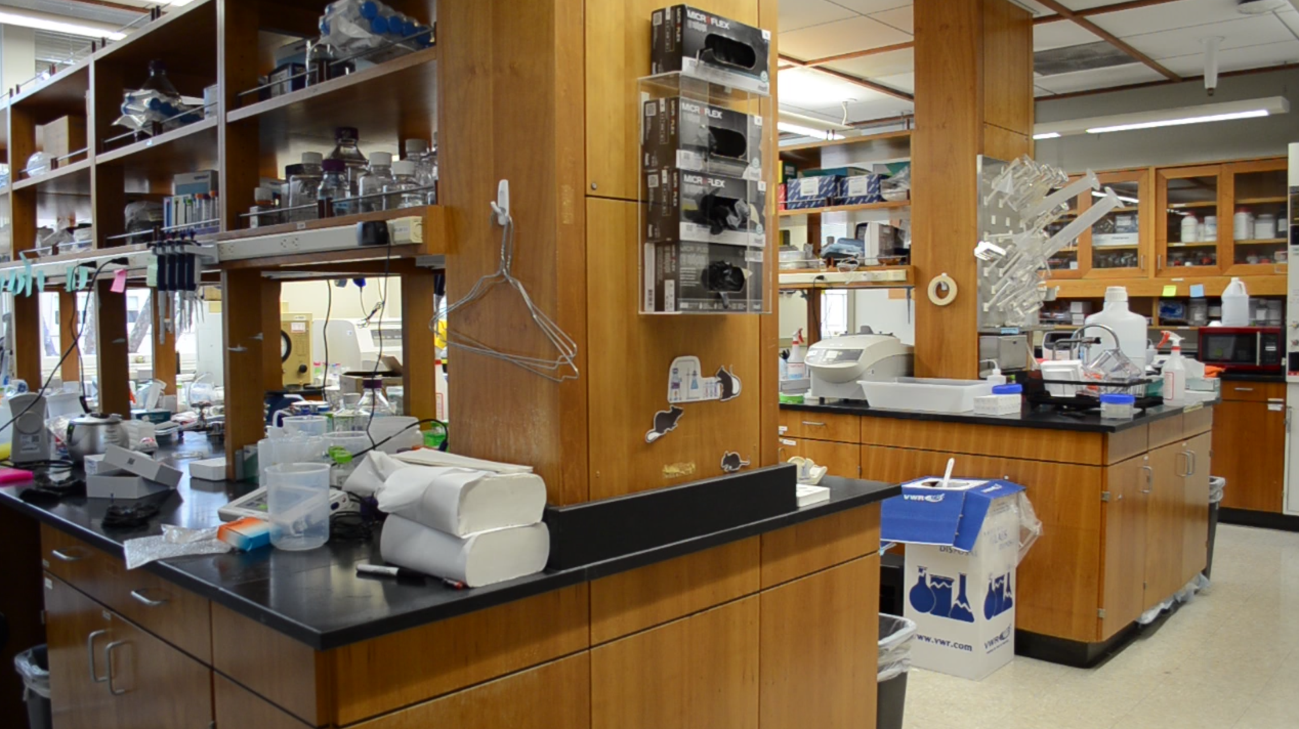 Research lab at MLK Building