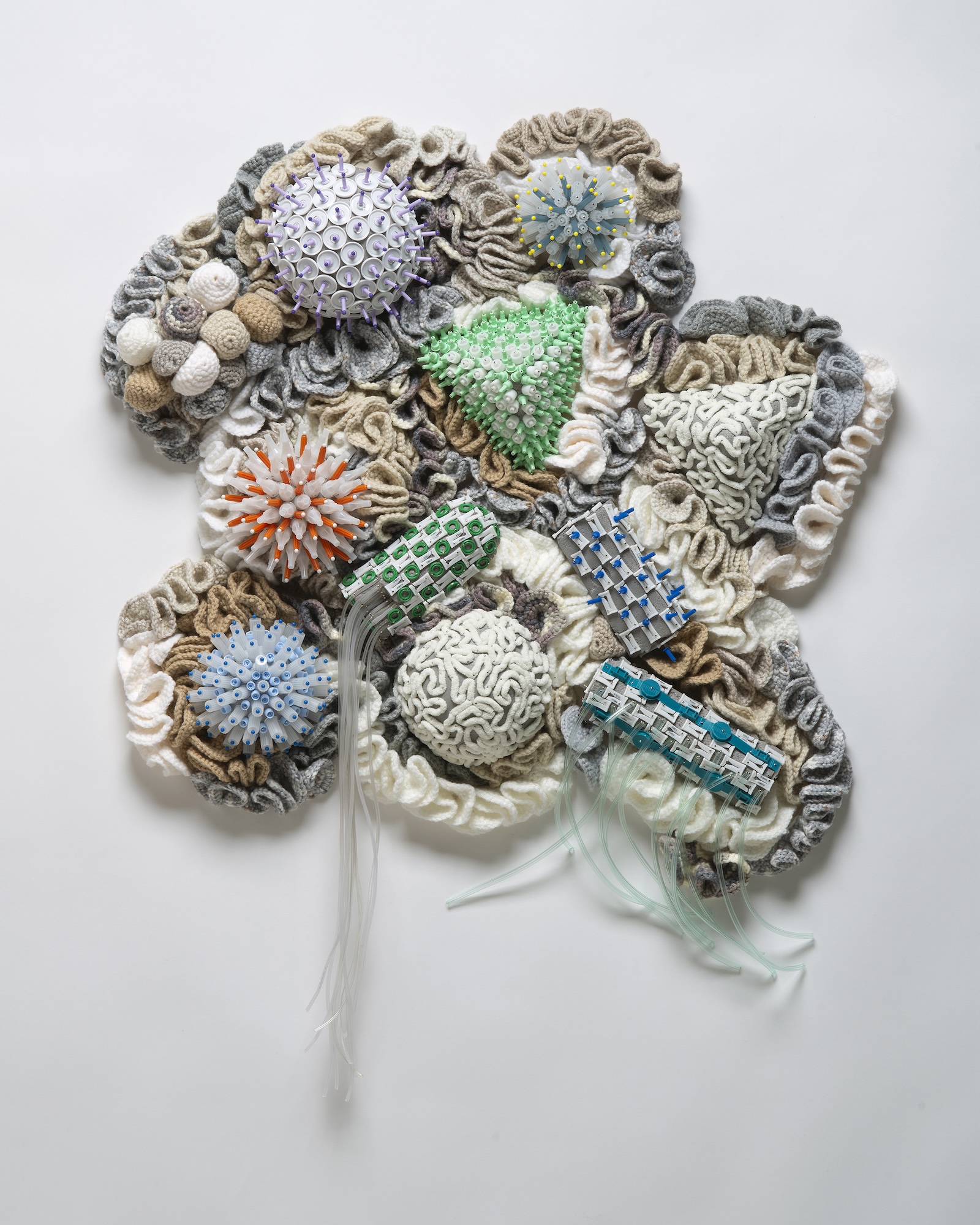 A multi-media coral reef