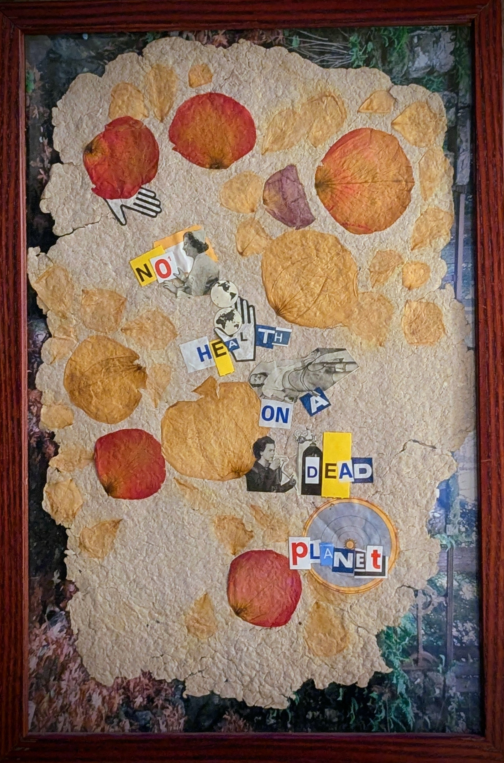 A collage of paper reads "No health in a dead planet" against a backdrop of textured paper and flower petals.