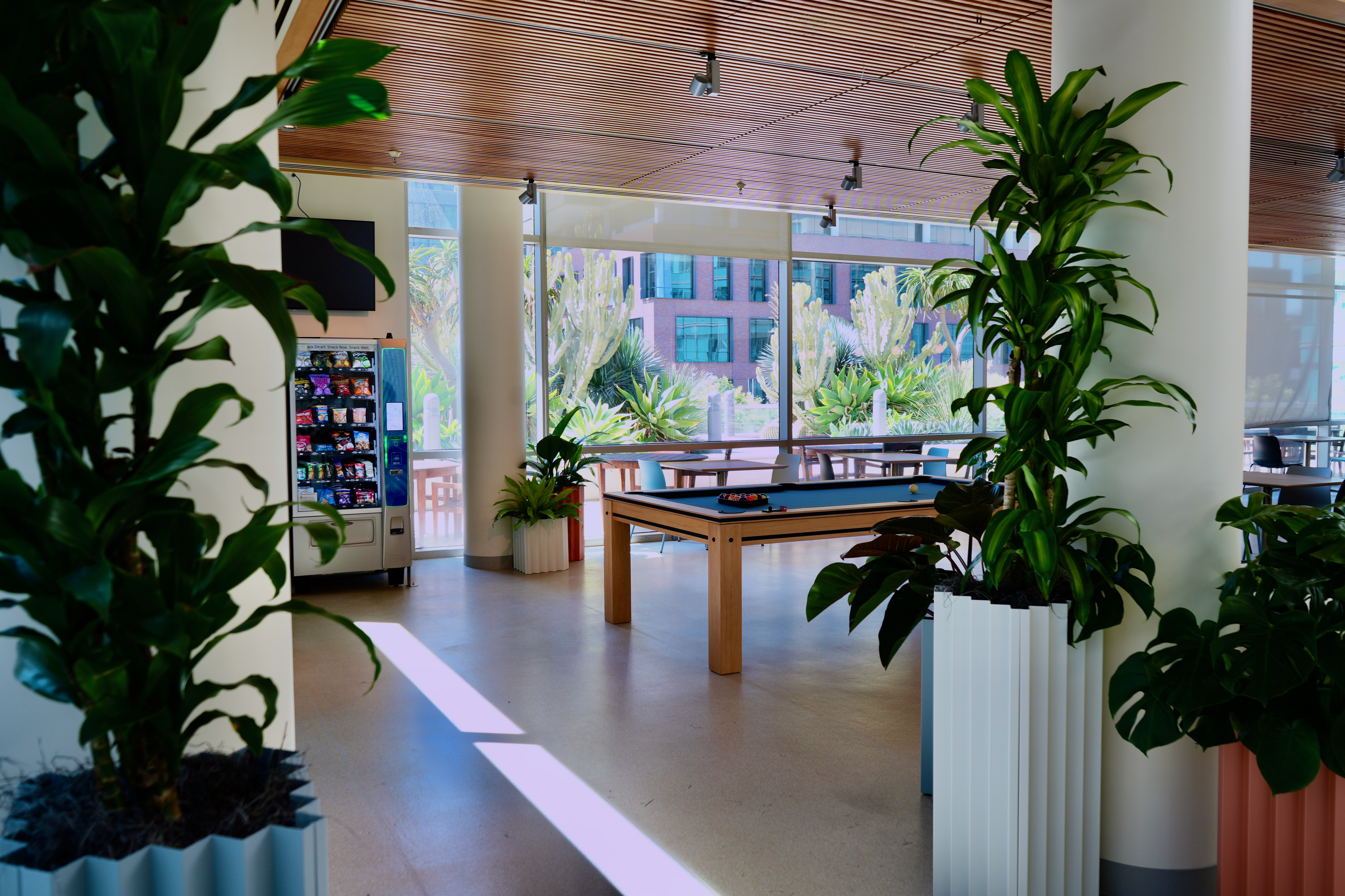 cafe 24 pool table and plants