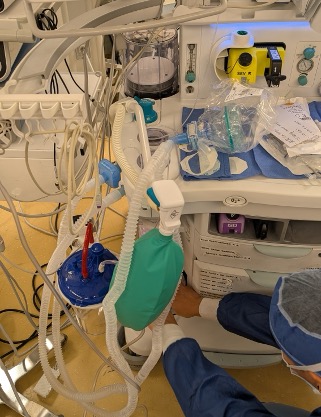 The multiple-use breathing circuits connected to the anesthesia machine and can be used for 24 hrs 