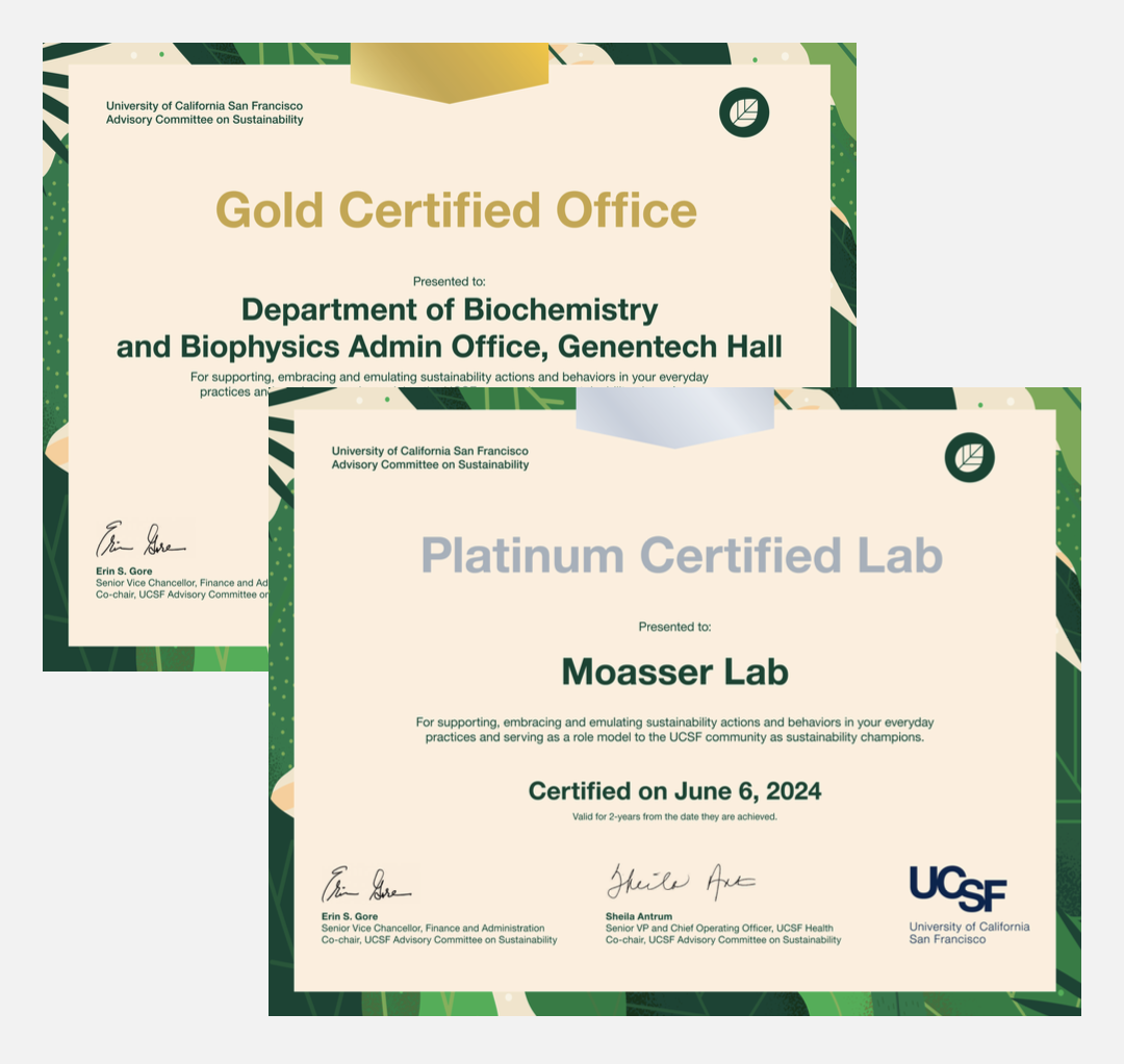 Two certificates, one for gold and the other platinum with a green border.