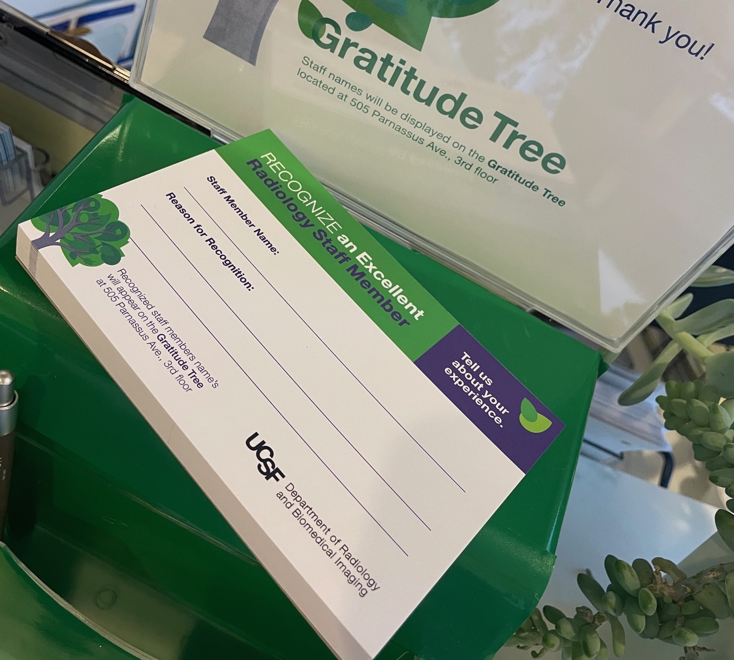 The ballot box and recognition forms that get turned into leaves on the tree. 
