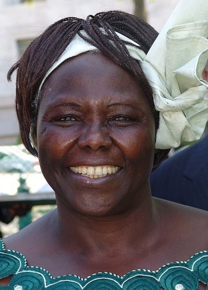 Headshot Wangarĩ Muta Maathai