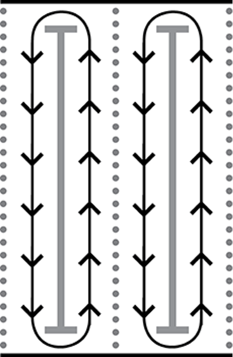 Lap Swim Multiple Swimmers