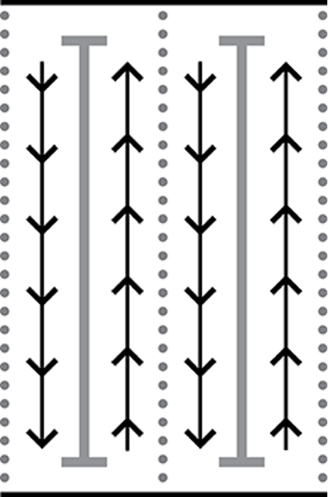 Circle Swim - Two Swimmers